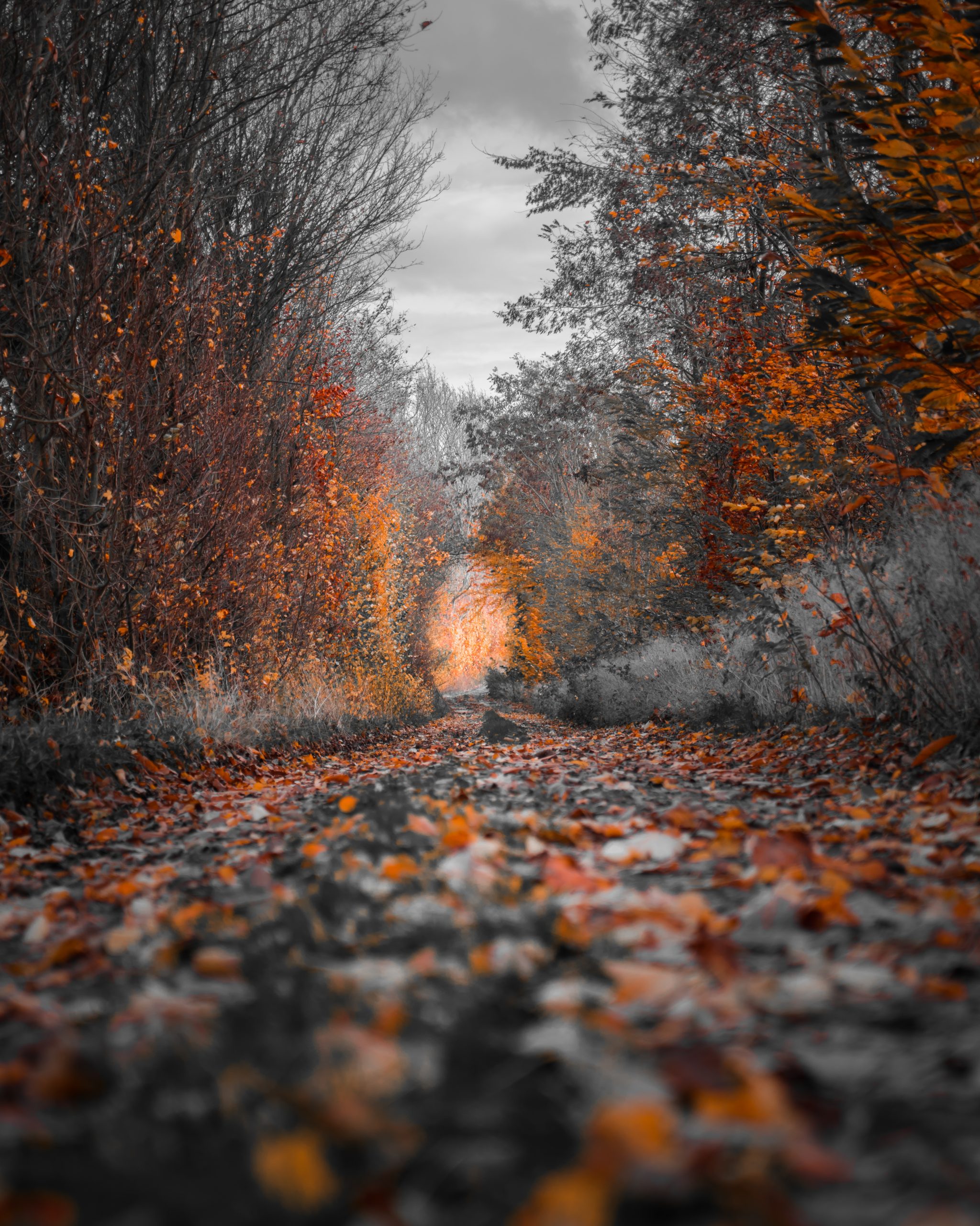 Road test in Bergenfield, NJ, 07621